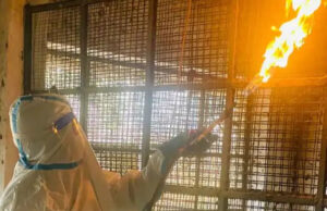 रायगढ़ में पोल्ट्री फार्म में बर्ड फ्लू की पुष्टि होने के बाद से पोल्ट्री उत्पादों की बिक्री पर प्रतिबंध