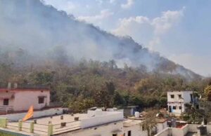 गढ़िया पहाड़ में असामाजिक तत्वों ने लगाई आग, वन विभाग में मचा हड़कंप