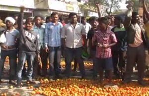 जशपुर के लुड़ेग में 1 रुपये किलो बिक रहा टमाटर, किसानों ने सड़कों पर फेंका कई क्विंटल टमाटर