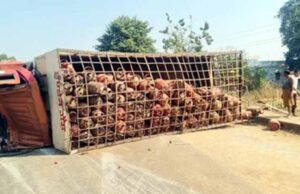 बालोद में हादसा: गैस सिलेंडर से भरा ट्रक पलटा, ट्रक चालक की मौत