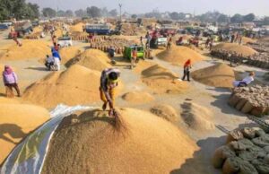 छत्तीसगढ़-साढ़े 25 लाख किसानों से 149 लाख मीट्रिक टन धान की खरीदी