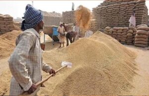 धान खरीदी गड़बड़ी, फर्जी तरीके से भुगतान लेने वालों की संपत्ति होगी सीज, कलेक्टर ने दिया आदेश