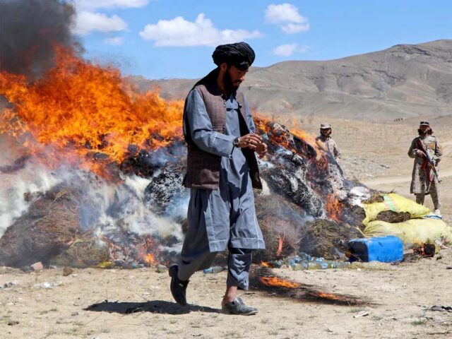 taliban.jpg