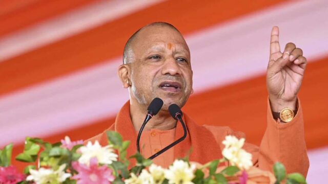 yogi1-4.jpg