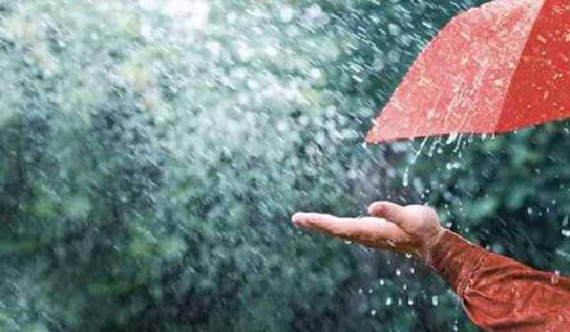 barish9-9.jpg