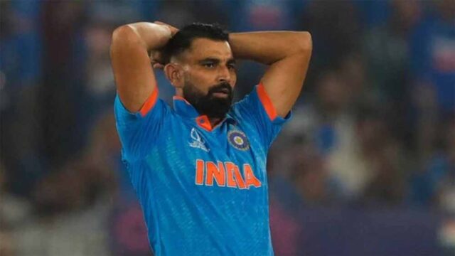 shami.jpg
