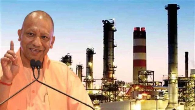 yogi-9.jpg