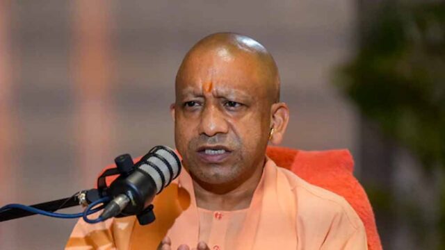 yogi1-8.jpg
