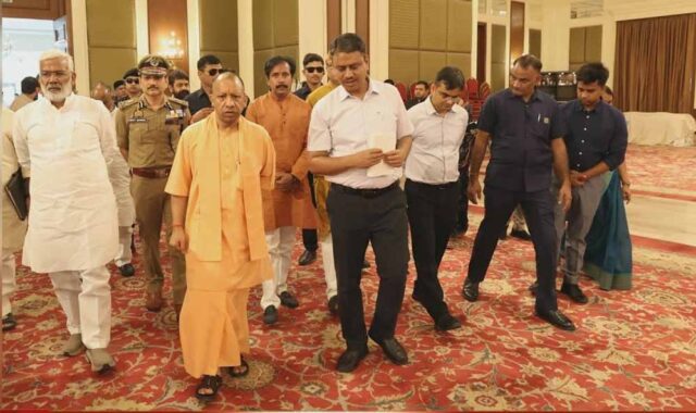 yogi1-5.jpg