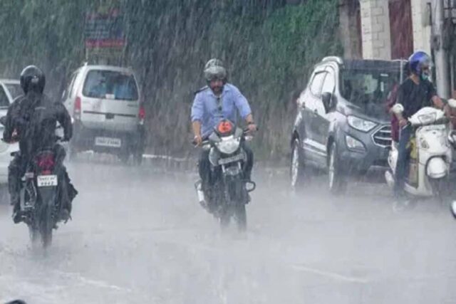 barish4-1.jpg