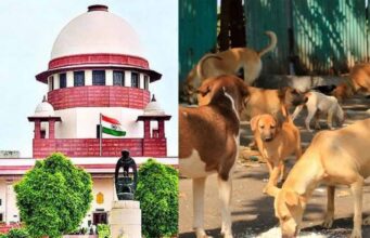 SC ने दिल्ली के कुत्तों पर मीलॉर्ड की अपील खारिज की