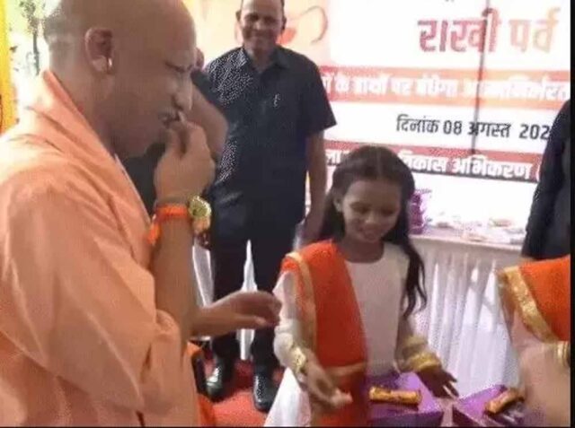yogi1-3.jpg