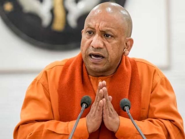 yogi1-9.jpg