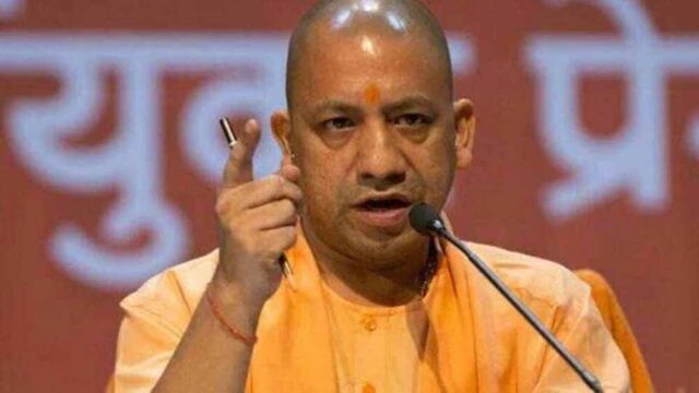 yogi4-11.jpg