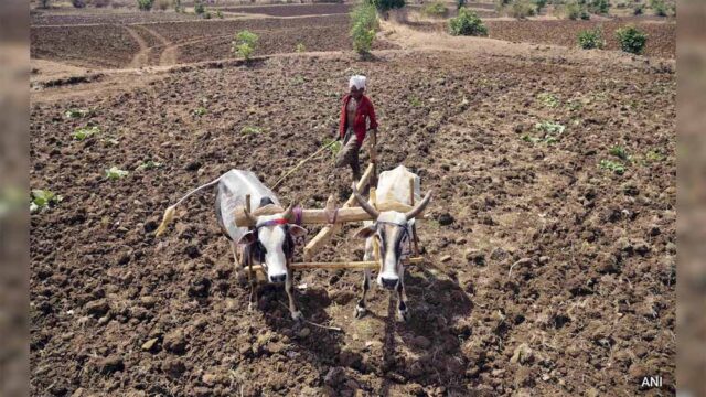kisan1-2.jpg