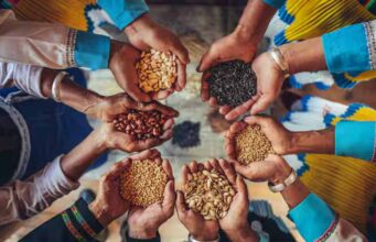 MP के तीन जिलों में खुलेगा Oil Seed Hub, किसानों को मिलेगा उन्नत बीज और तकनीक का लाभ