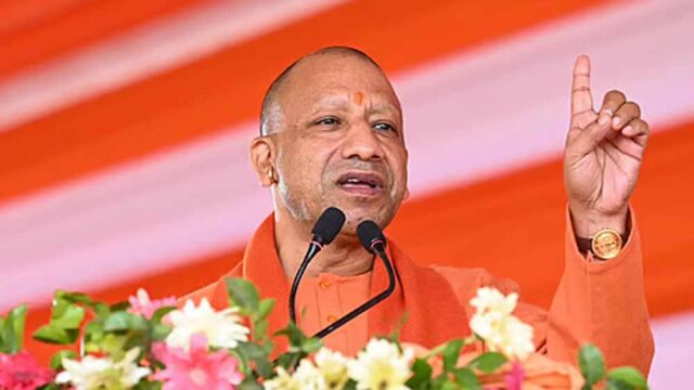 yogi1-6.jpg