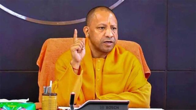 yogi1-8.jpg