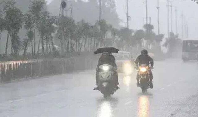 barish-11.jpg