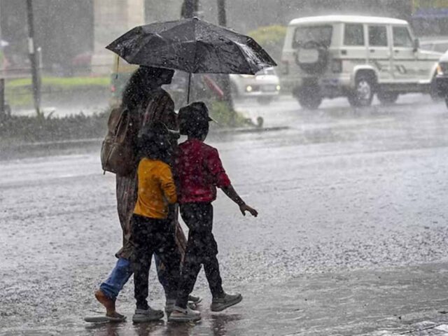 barish1-3.jpg