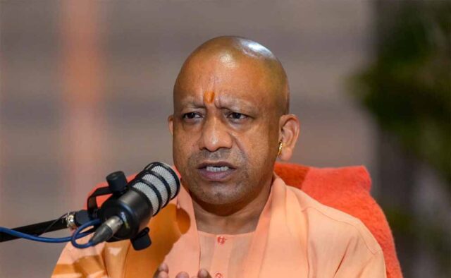 yogi1-3.jpg