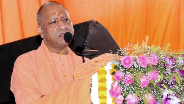 yogi1-5.jpg