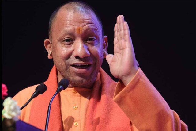 yogi3.jpg