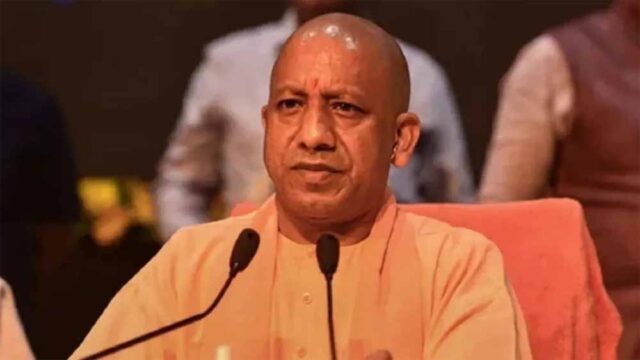 yogi1-9.jpg