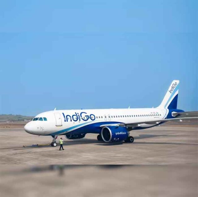indigo2.jpg