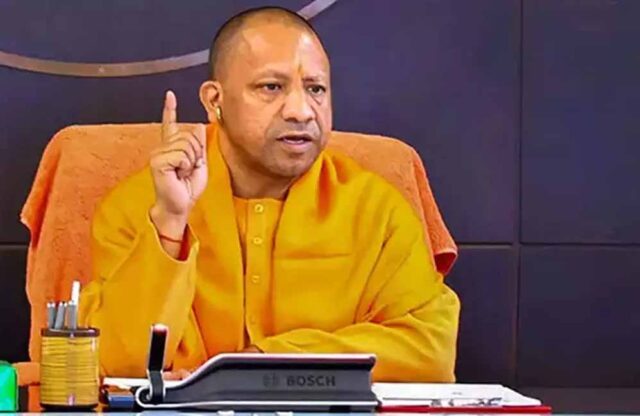 yogi_60_1-2.jpg