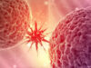 2040 तक कैंसर बनेगा और बड़ा खतरा, हर दो मिनट में एक नई ज़िंदगी पर वार!