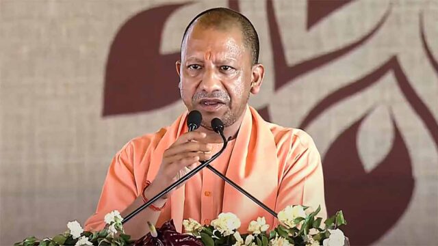 yogi1-14.jpg