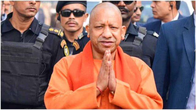 yogi2-9.jpg