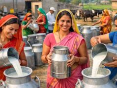 6 जिलों में 55 हजार से ज्यादा महिलाएं बनीं सफल उद्यमी, आत्मनिर्भरता की मिसाल