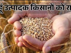 मध्यम एवं बड़े कृषकों को गेहूं विक्रय करने के लिये स्लॉट बुकिंग की सुविधा प्रारंभ