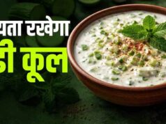 गर्मियों के लिए परफेक्ट पुदीना-लहसुन रायता, स्वाद और सेहत दोनों में शानदार