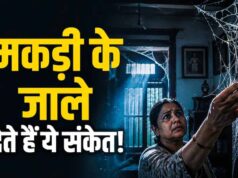घर में मकड़ी के जाले सिर्फ गंदगी नहीं, वास्तु में माने जाते हैं अशुभ संकेत