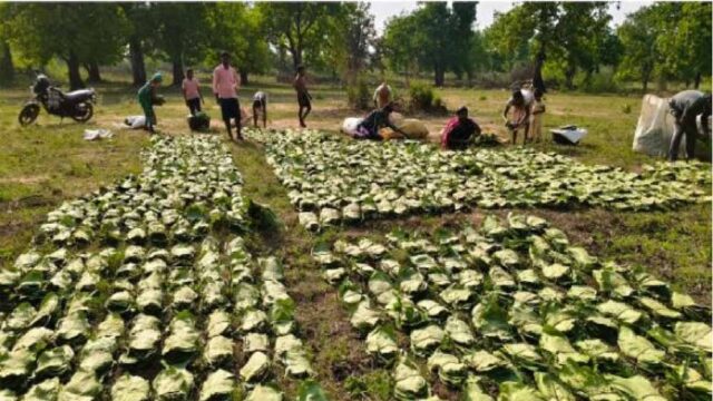 Chhattisgarh_News_08-2-1.jpg