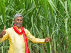 योगी सरकार में गन्ना किसानों की आय 52 हजार से बढ़कर 1.20 लाख रुपये हुई: कृषि मंत्री