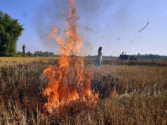 नरवाई जलाना खेत और सेहत दोनों के लिए हानिकारक : कृषि मंत्री कंषाना