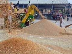 मुख्यमंत्री ने गेहूं खरीद में किसानों को दी बड़ी राहत