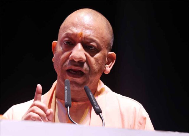 yogi-4.jpg