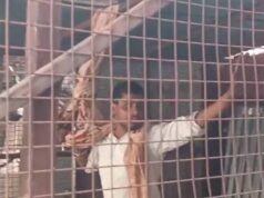 लखनऊ में वकीलों पर लाठीचार्ज, अवैध चैंबर हटाने के दौरान मचा हंगामा