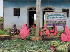 सीताफल उत्पादन एवं प्रसंस्करण से महिला स्व-सहायता समूहों की आर्थिक स्थिति में सुधार