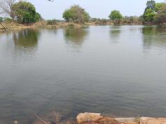नहरों से सूखते तालाबों में जलभराव:भीषण गर्मी से बड़ी राहत, 4755 तालाब हुए लबालब