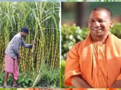 उत्तर प्रदेश ने गन्ना किसानों को किया 3.21 लाख करोड़ रुपये से अधिक का भुगतान