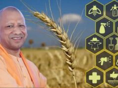योगी सरकार स्मार्ट कृषि, आधुनिक तकनीक और बाजार उन्मुख नीतियों से प्रदेश को बनाएगी कृषि विकास का राष्ट्रीय मॉडल