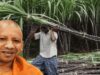 उत्तर प्रदेश ने गन्ना किसानों को किया 3.22 लाख करोड़ रुपये से अधिक का ऐतिहासिक भुगतान