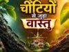 घर में चींटियों का दिखना शुभ या अशुभ? वास्तु शास्त्र में जानिए इसके संकेत