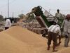 गेहूं खरीद में तेजी लाने के निर्देश, क्रय केंद्रों पर किसानों को न हो परेशानी